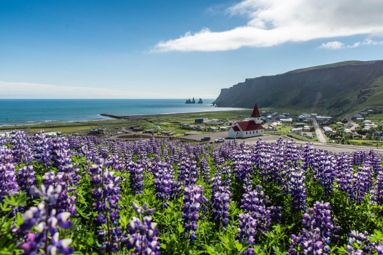 Den sydligste spids af Island - Kap Dýrhólaey.