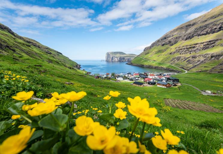 Oplevelser på Færøerne